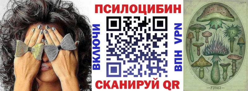 Псилоцибиновые грибы Magic Shrooms  магазин продажи наркотиков  mega tor  Никольск 